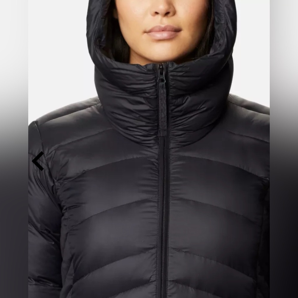 NWT Columbia Sportswear Women's Autumn Park™ Down Hooded Jacket - Picture 5 of 17